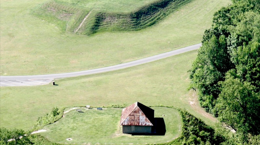 Tuscaloosa som viser en park og et hus