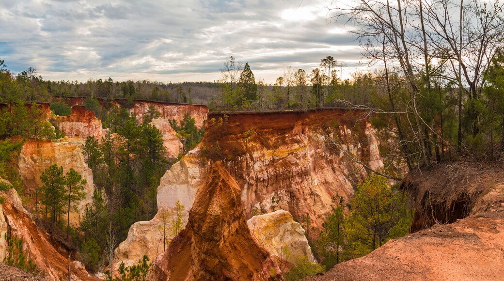 Panoramic aerial view of canyons and thicket in the Providence Canyon State Park in cloudy autumn day, Georgia, USA
