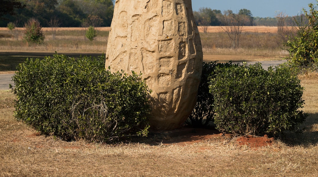 Escultura de cacahuate en honor a Jimmy Carter