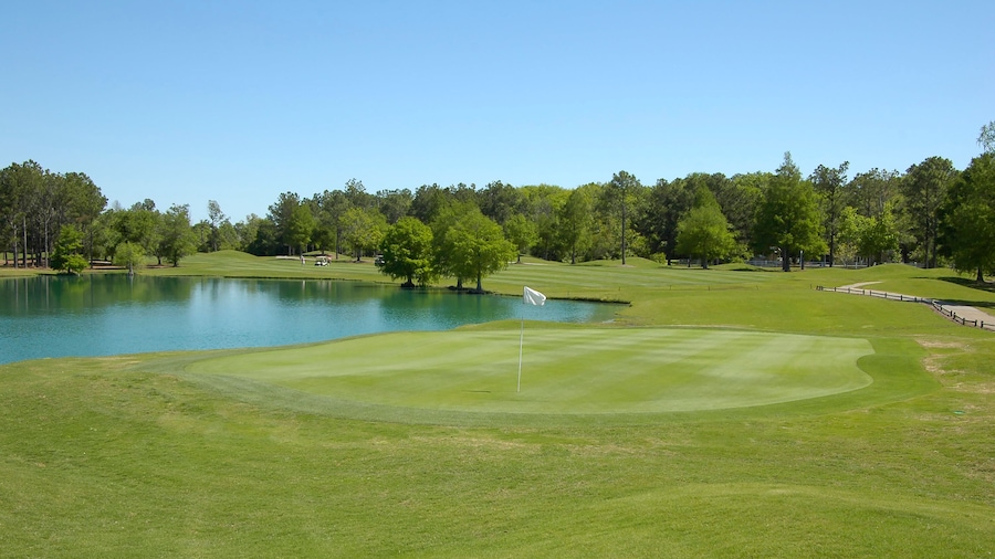 Water Hazard on the Golf Course
