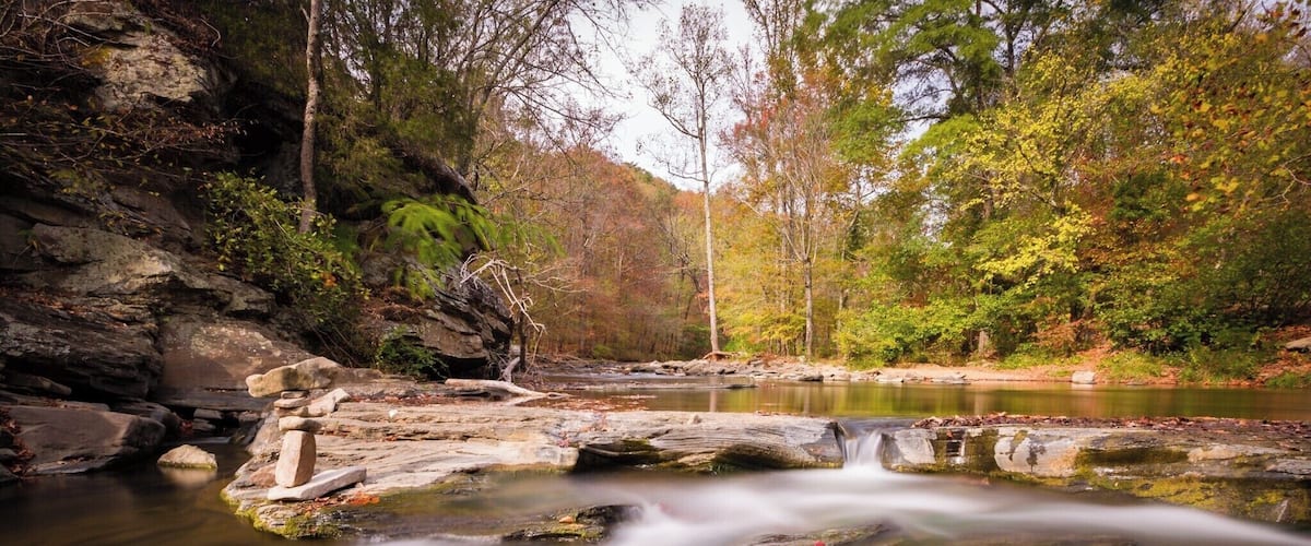Turkey Creek Nature Preserve in Pinson, AL