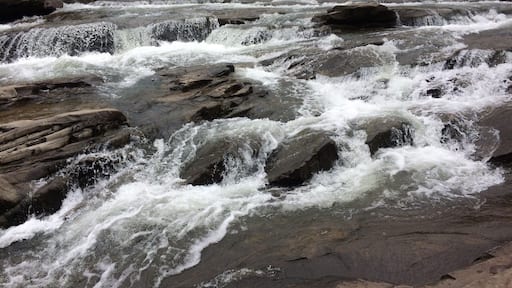 Neat place to hike or play with your canine buddy.