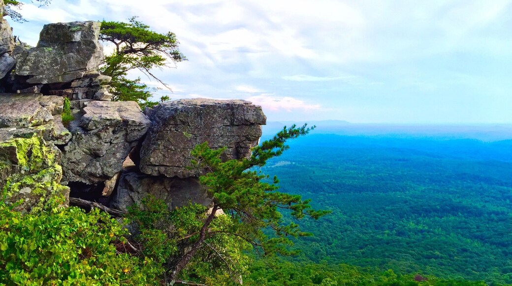 Cheaha State Park is one of my favorite getaway spots. I travel to Birmingham often and always stop for a few nights here. Cabin rentals are reasonable and the service is fabulous. Hiking, biking, chillaxin...
#alabama