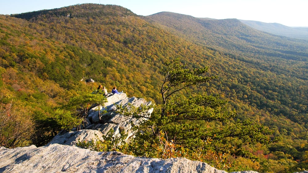 Cheaha State Park overlook of forest and hills