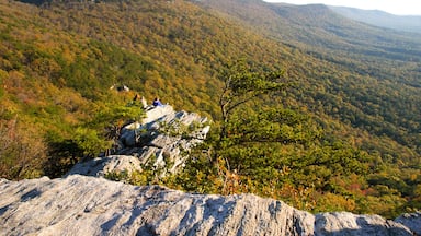 Cheaha State Park overlook of forest and hills