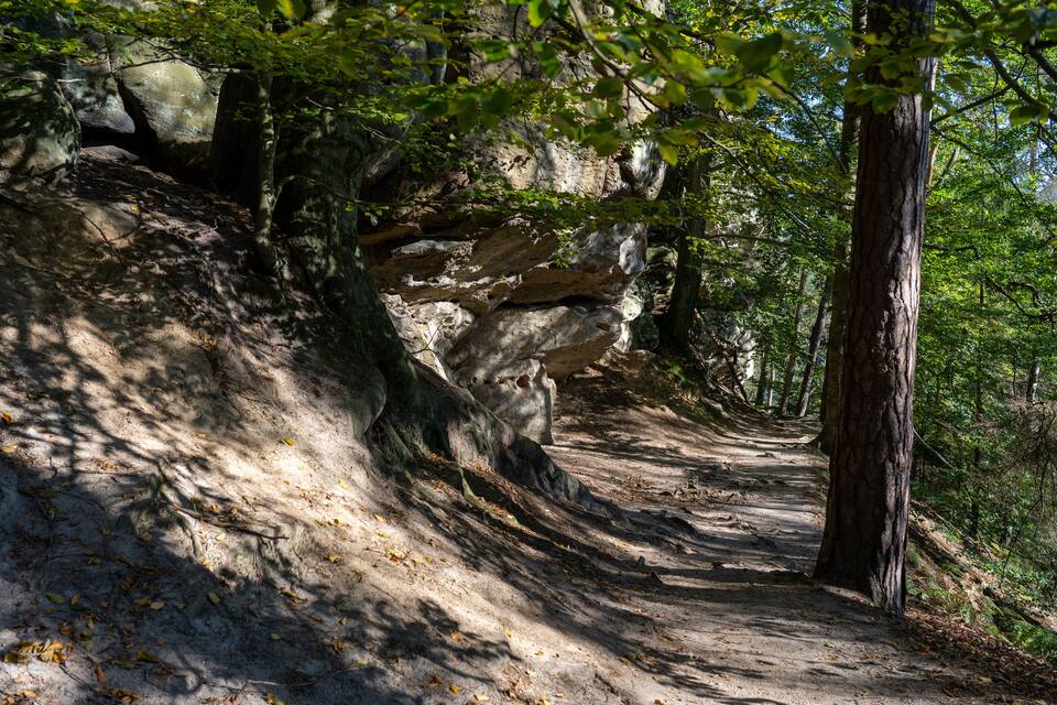 Un sentier de randonnée boisé, parsemé de gros rochers et d’arbres.