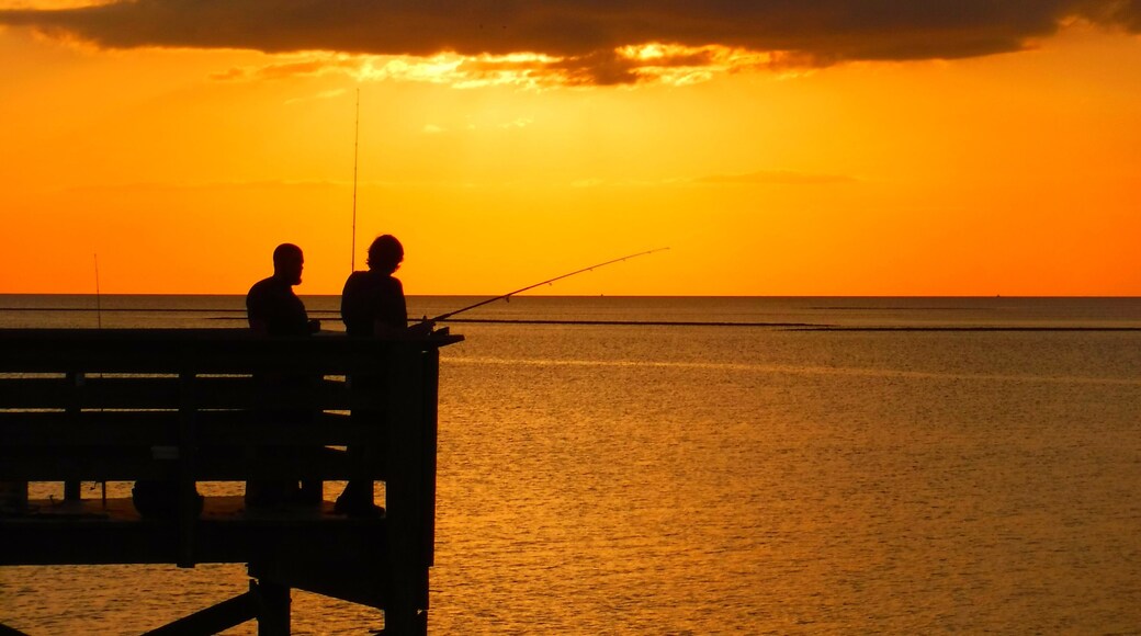 Playa Fort Island Gulf Beach