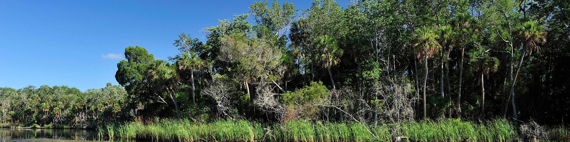 Canoe on the Chassahowitzka River, Chassahowitzka National Wildlife Refuge, near Spring Hill, Florida