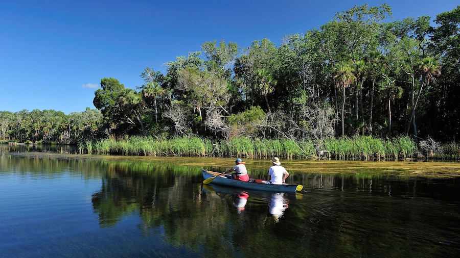 Canoe on the Chassahowitzka River, Chassahowitzka National Wildlife Refuge, near Spring Hill, Florida