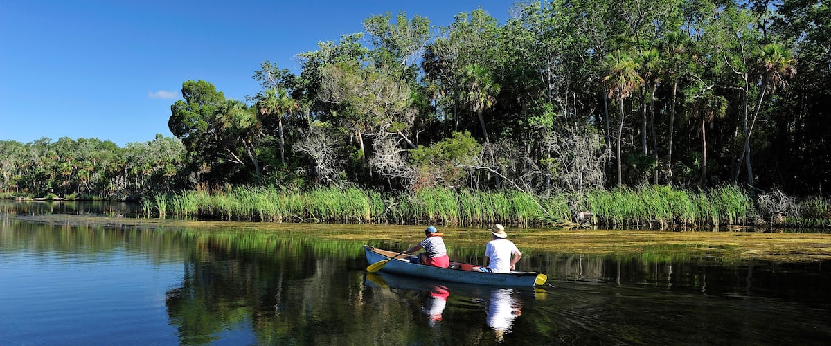 A calm river with two people paddling a canoe, surrounded by dense trees and greenery.