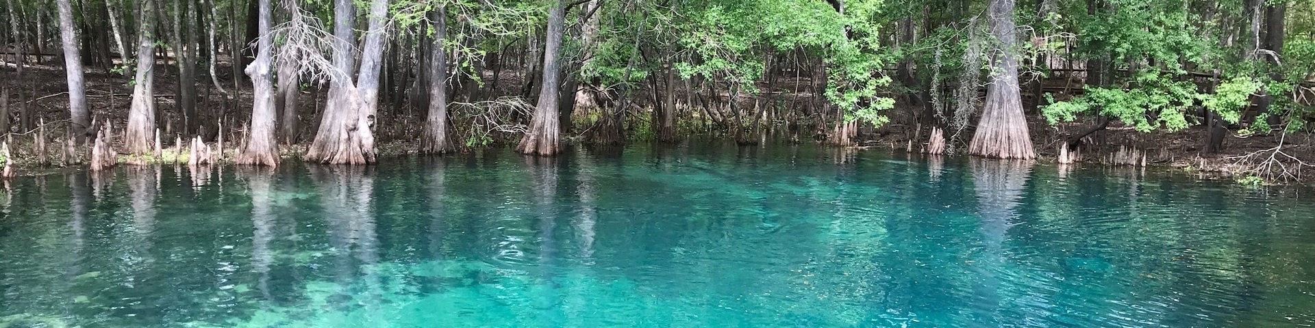 This bright blue springs is a great place to kayak out to see manatee, alligators, vultures that migrate here in mass and plenty of other wildlife.  Also fun for scuba and swimming!