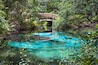 Natural clear fresh turquoise water oasis at Juniper springs with wooden bridge at Ocala national forest in central Florida, north of Orlando.
