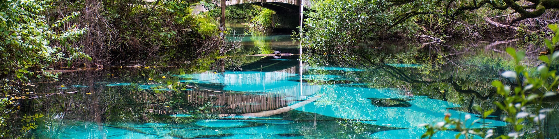 Natural clear fresh turquoise water oasis at Juniper springs with wooden bridge at Ocala national forest in central Florida, north of Orlando.