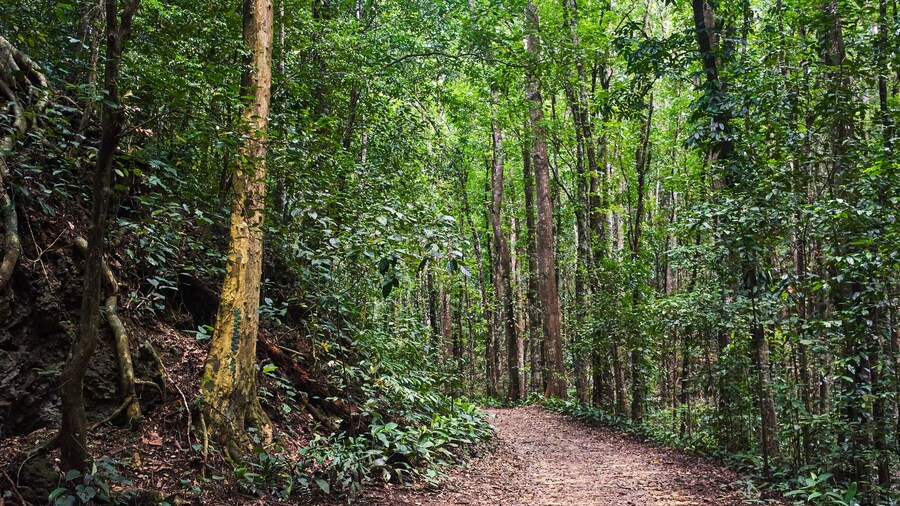 レイウェイサイドパーク