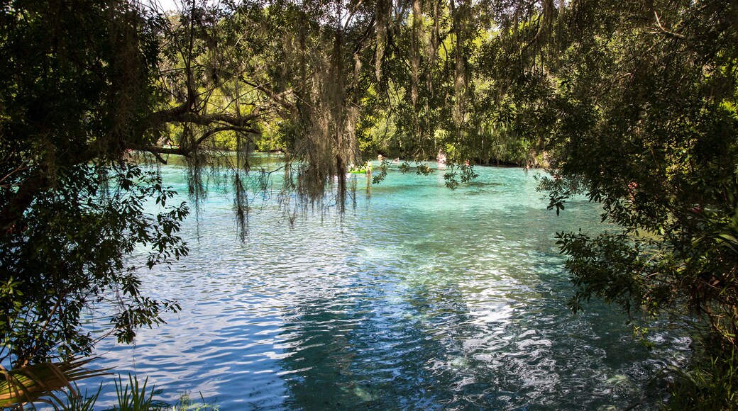 Silver Glen Springs Recreation