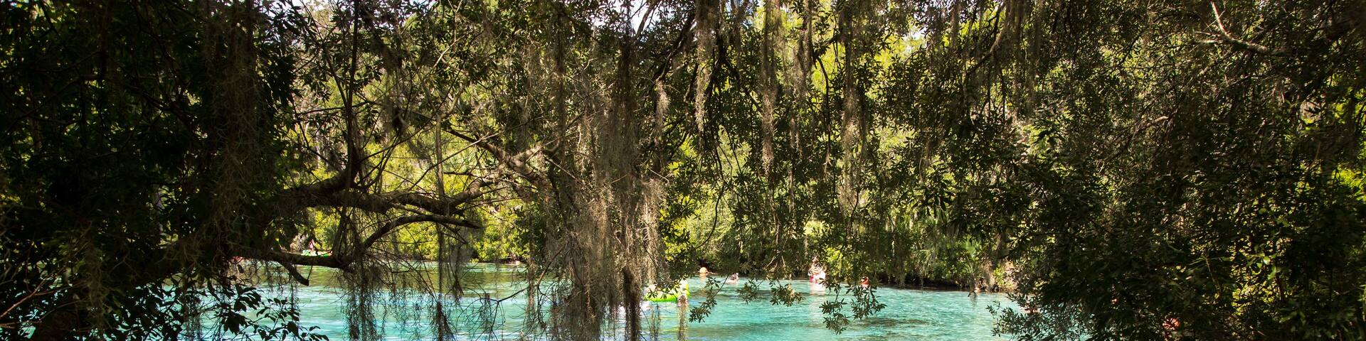 Enjoying a beautiful day at Silver Glen Springs Recreation Area