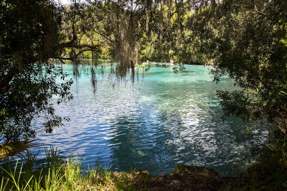 Una masa de agua azul cristalina rodeada de abundante vegetación y árboles.