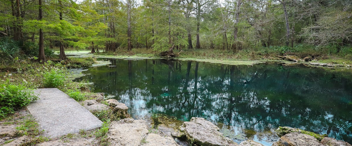 LIVE OAK, FLORIDA, UNITED STATES - Oct 20, 2018: Wes Skiles Peacock Springs State Park