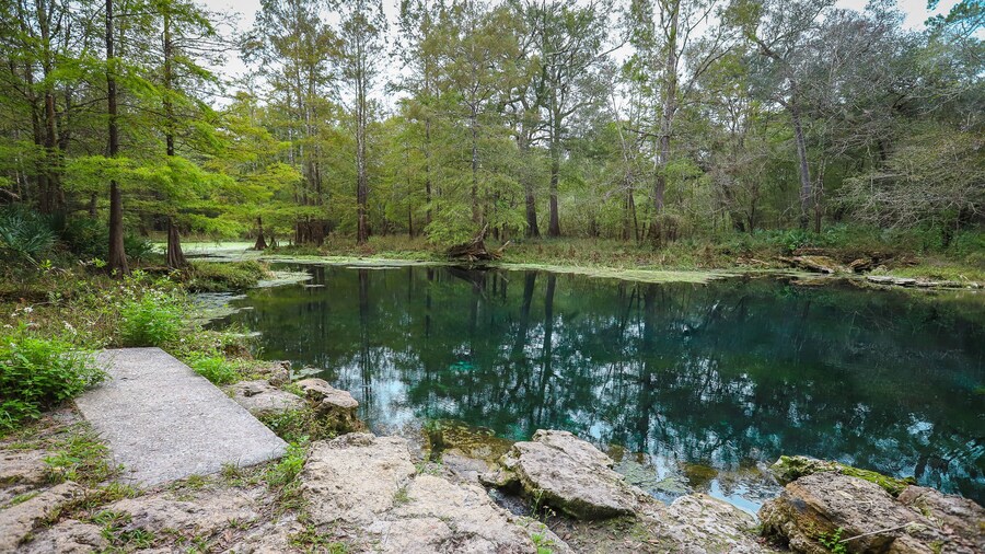Wes Skiles Peacock Springs State Park