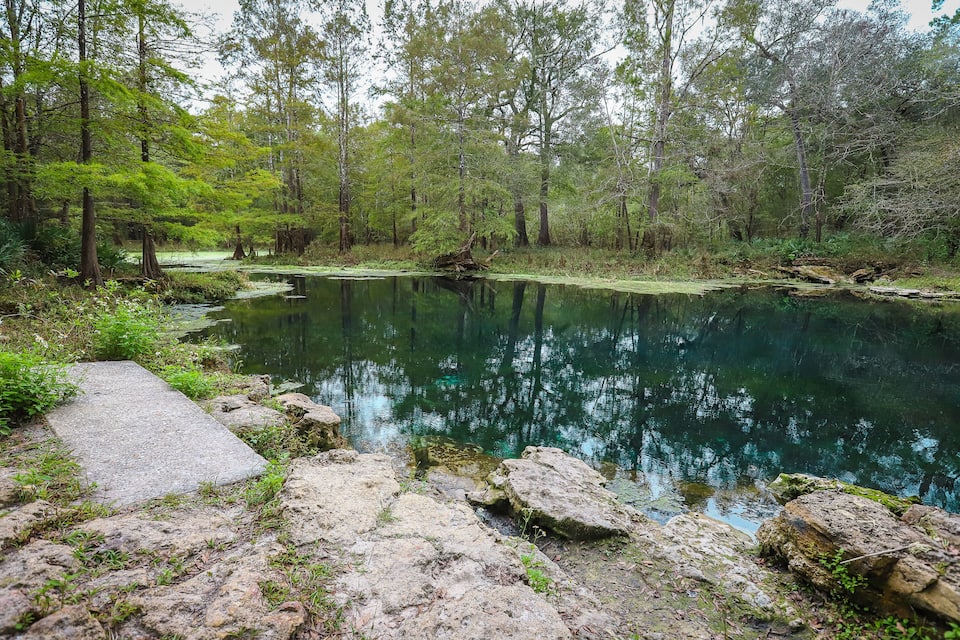 A serene forested area with a clear pond, surrounded by rocks and dense trees.