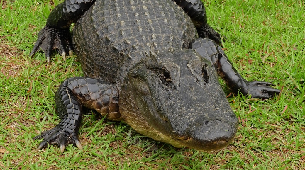 蘇萬尼運河休閒區