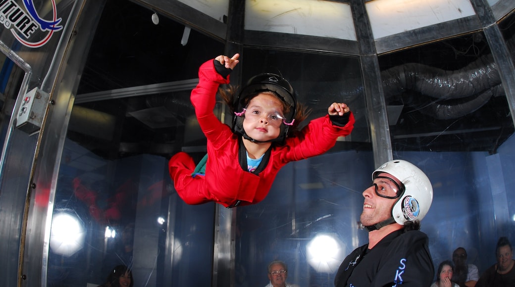 Orlando montrant vues intérieures