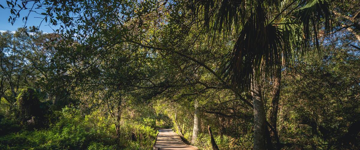 Boardwalk at Lake Lotus nature park in Altamonte Springs, Florida