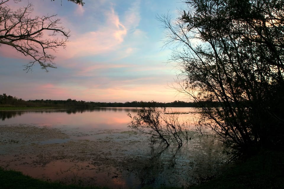 Un lago calmo al tramonto con cielo rosa e alberi spogli.