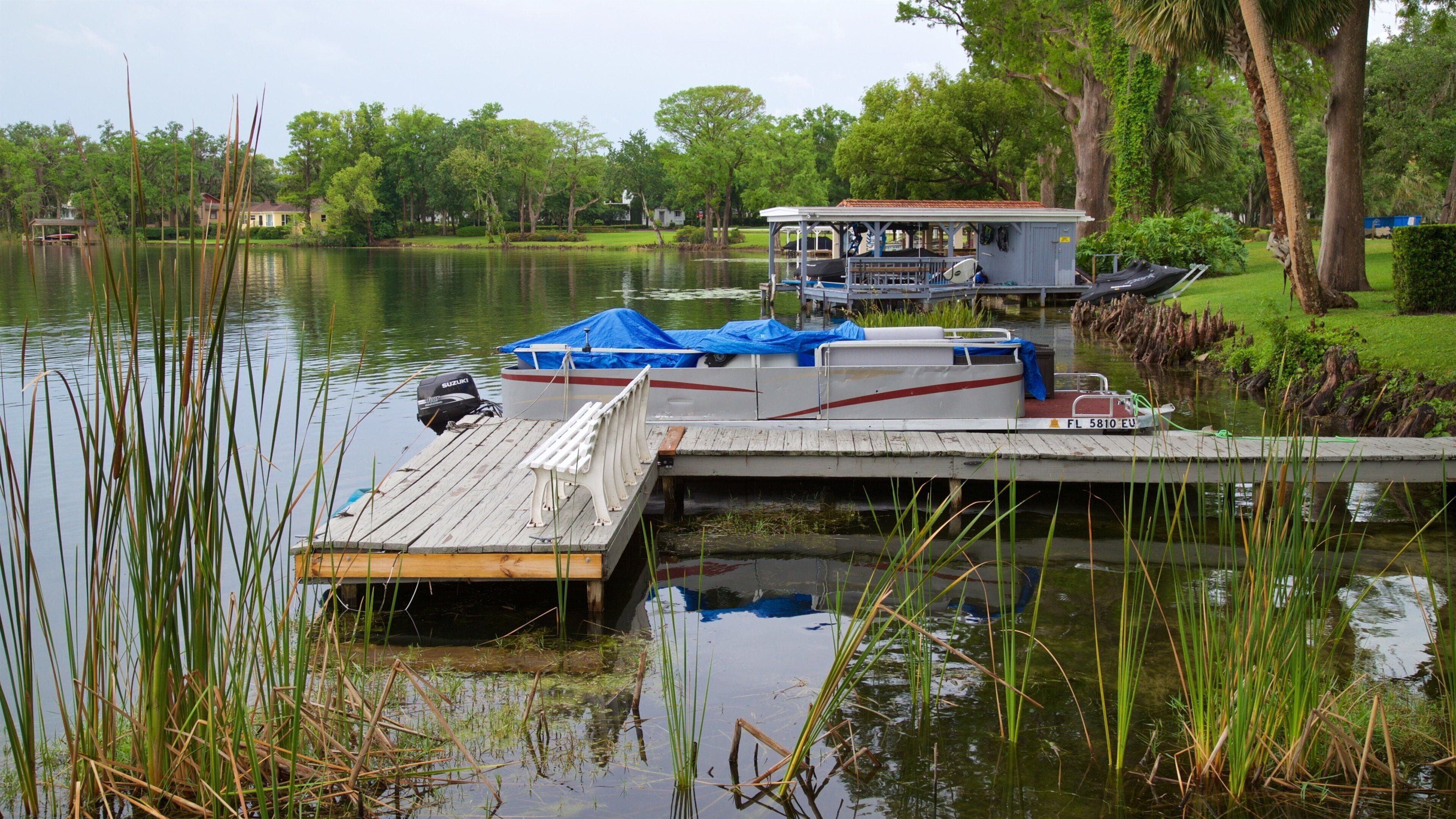 Lake Virginia showing a lake or waterhole