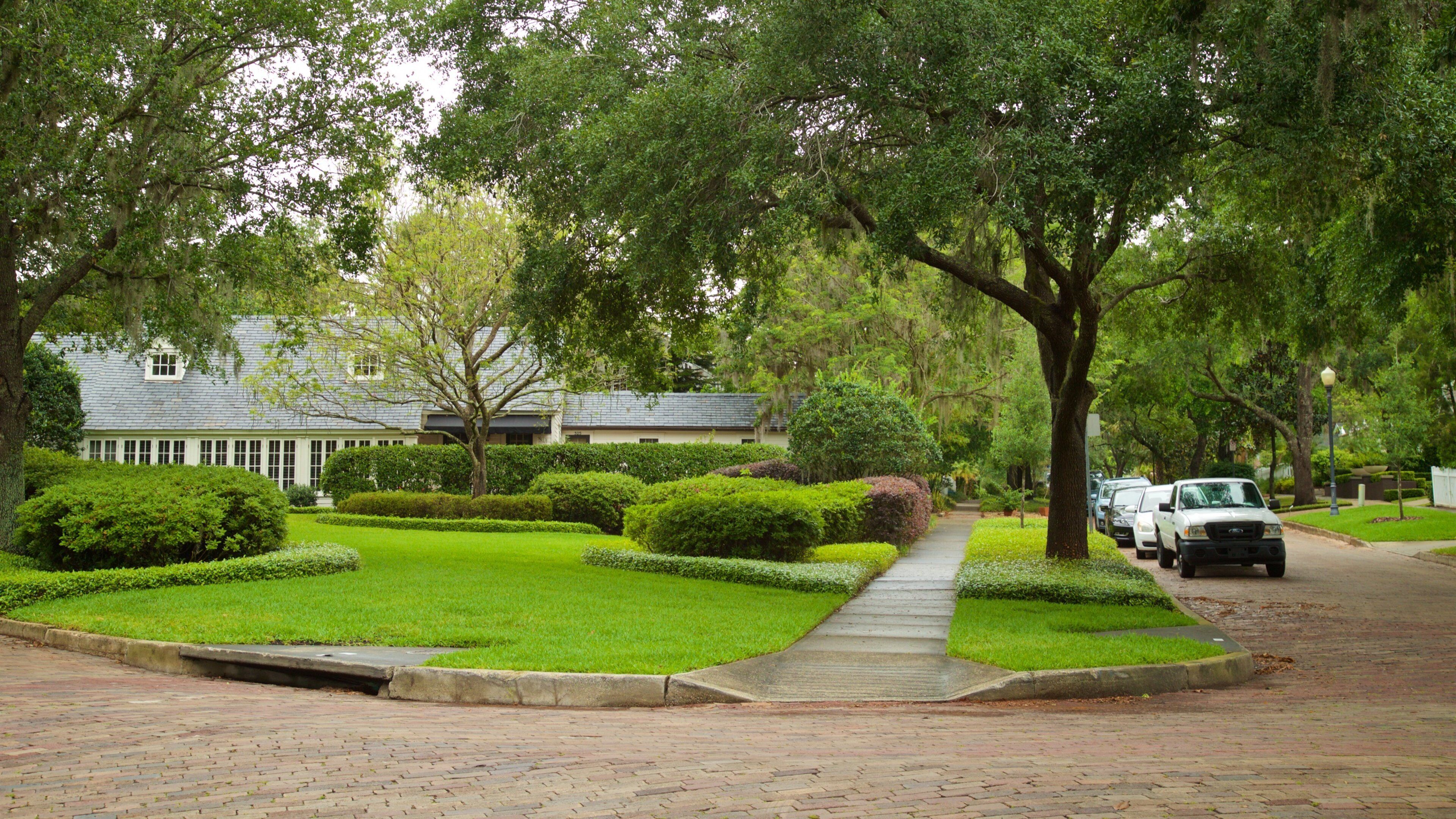 Lake Virginia showing a garden