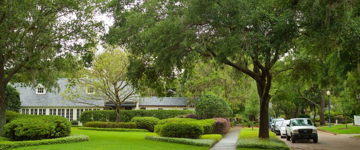 Lake Virginia showing a garden