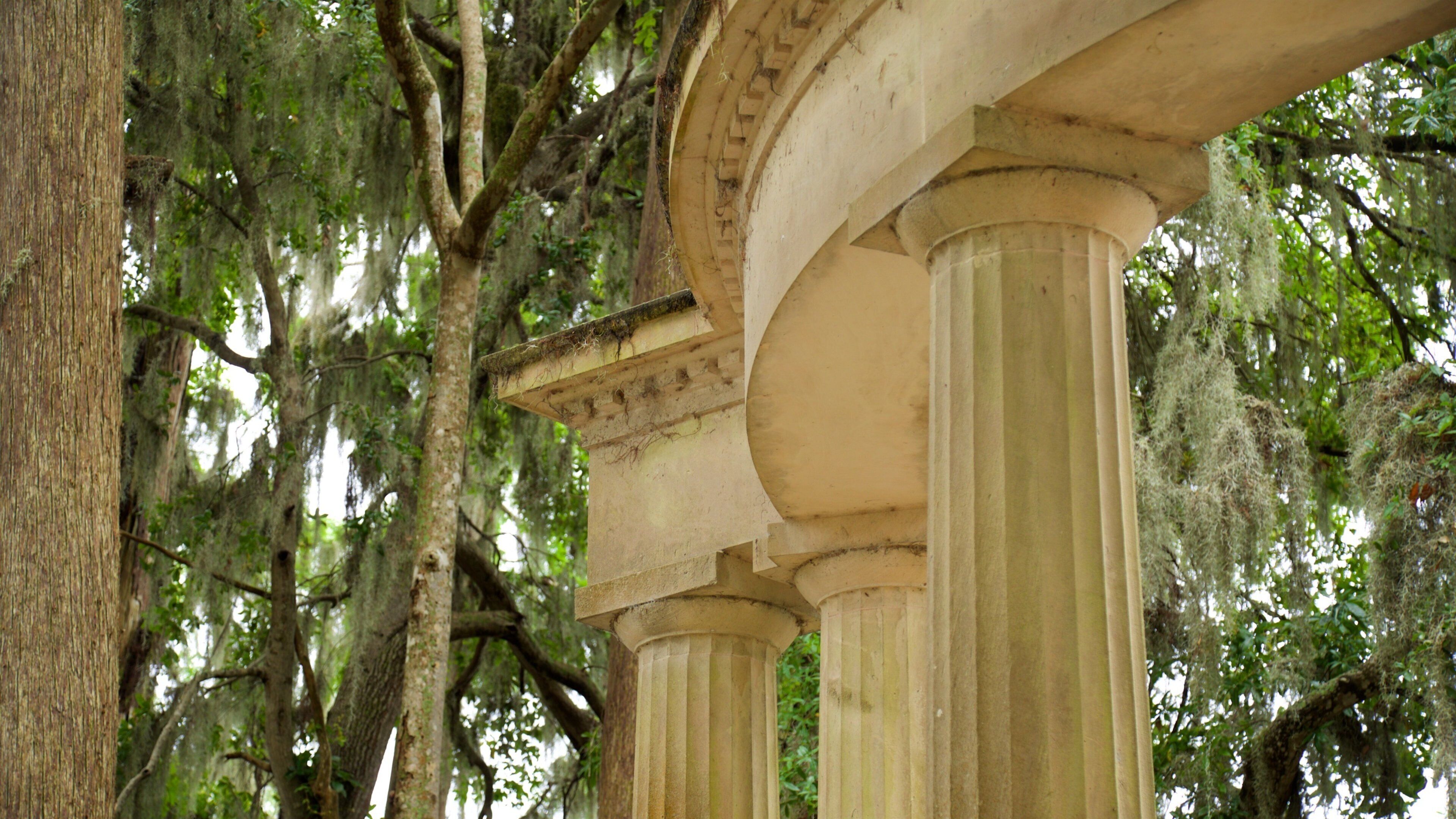 Kraft Azalea Gardens which includes a park