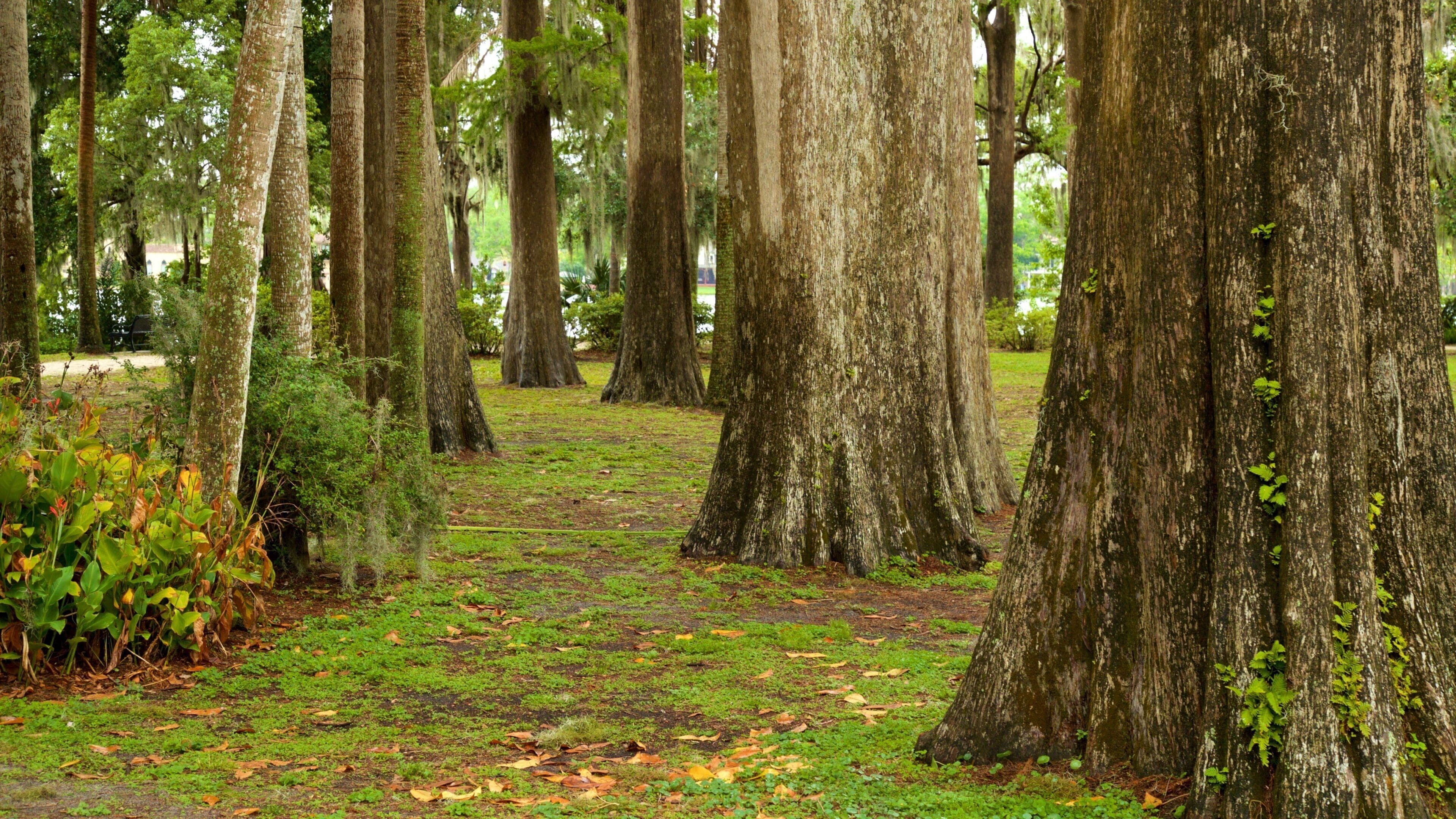 Kraft Azalea Gardens featuring a park