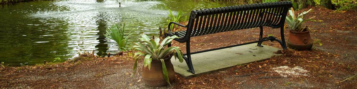 Kraft Azalea Gardens showing a fountain, a park and a pond