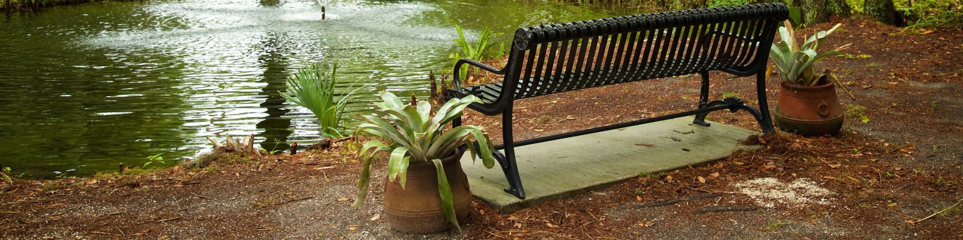 Kraft Azalea Gardens showing a fountain, a park and a pond