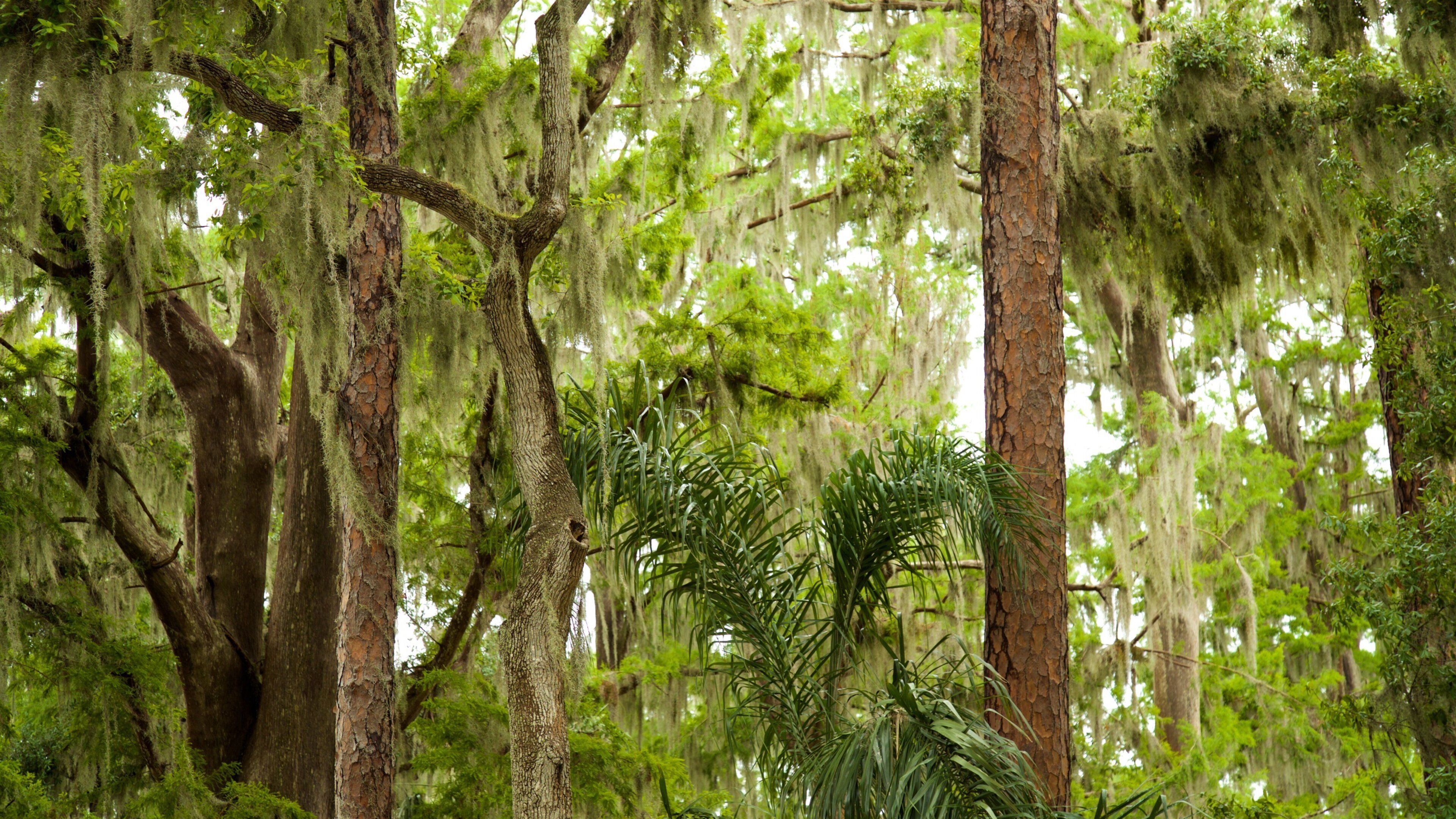 Kraft Azalea Gardens showing a park