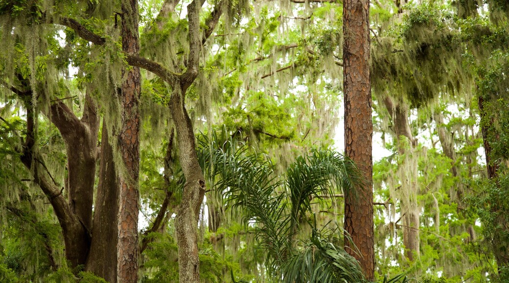 Kraft Azalea Gardens showing a park