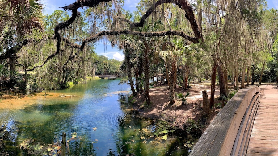 Trail leading over bridge over the river at Gemini Springs State Park just north of Orlando in Debary, Florida