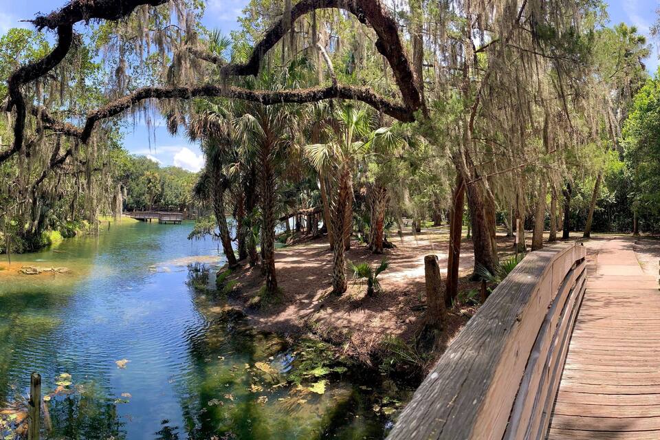 A wooden boardwalk beside a clear waterway, surrounded by trees with Spanish moss.