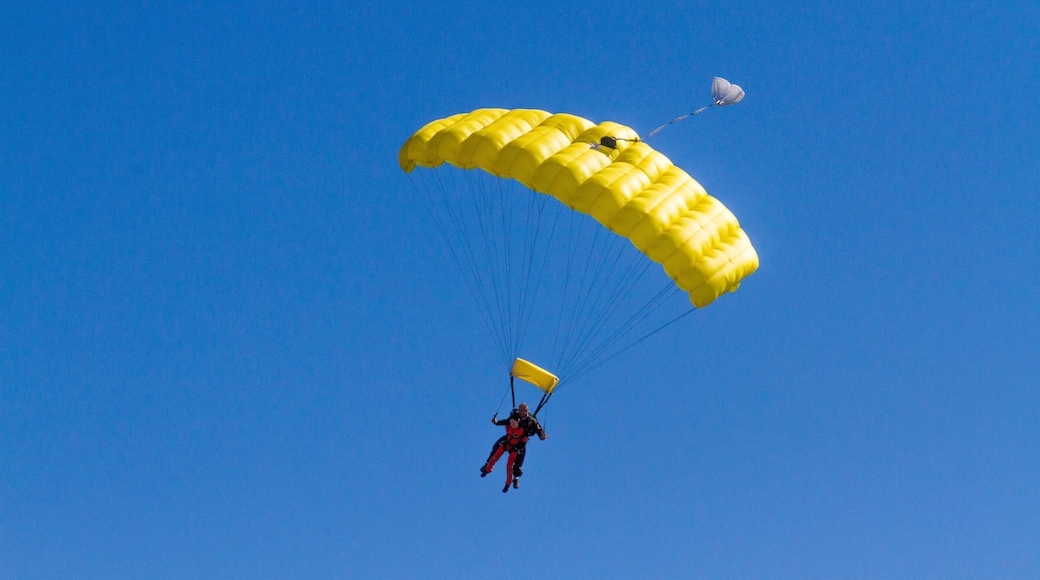 Skydive DeLand skydivers with parachutes open landing in Deland, Florida.