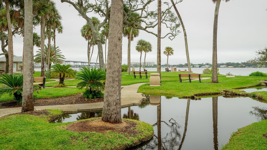 Ames Park featuring a garden and a pond