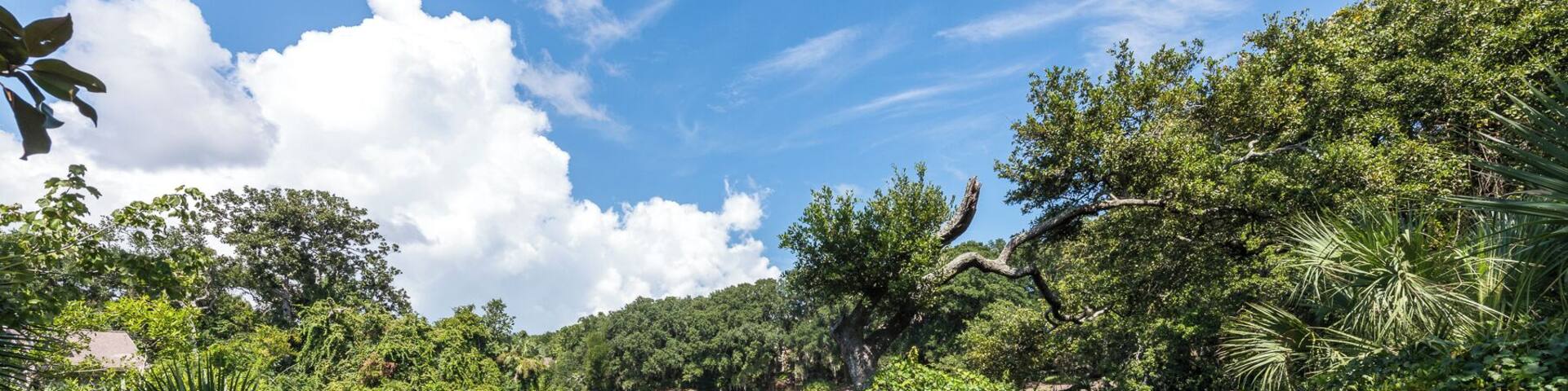 FernandinaBeach_AmeliaIslandNatureCenter_553248621532654622_03