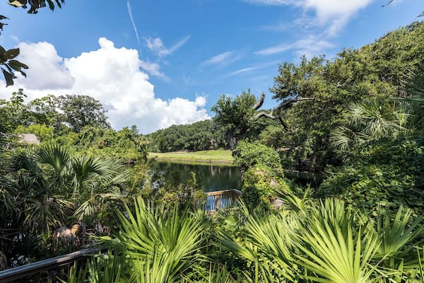 FernandinaBeach_AmeliaIslandNatureCenter_553248621532654622_03