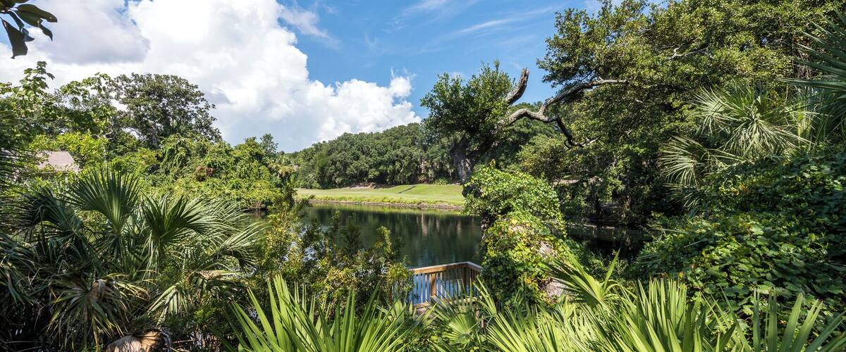 A lush landscape with a lake, dense greenery, and a wooden bridge.