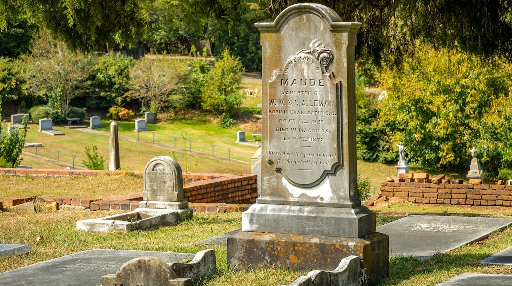Rose Hill Cemetery which includes a cemetery