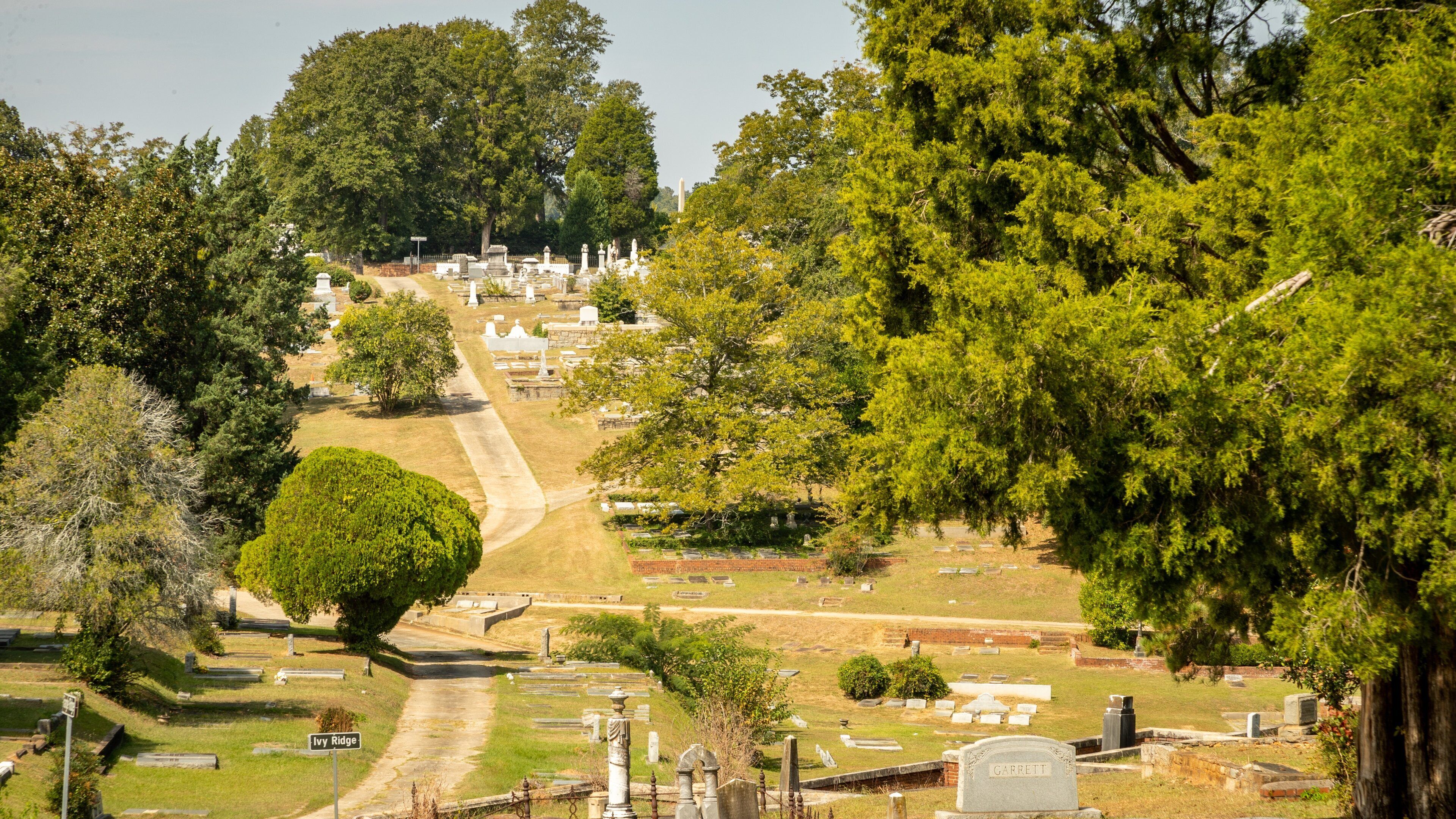 Rose Hill Cemetery which includes a cemetery
