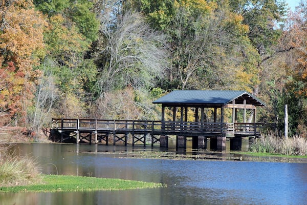 wooden bridge over the pond