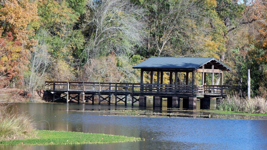 wooden bridge over the pond