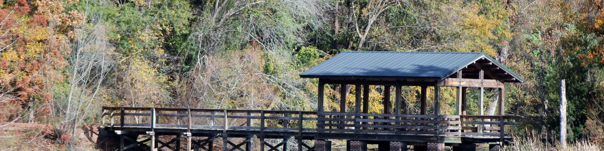 wooden bridge over the pond