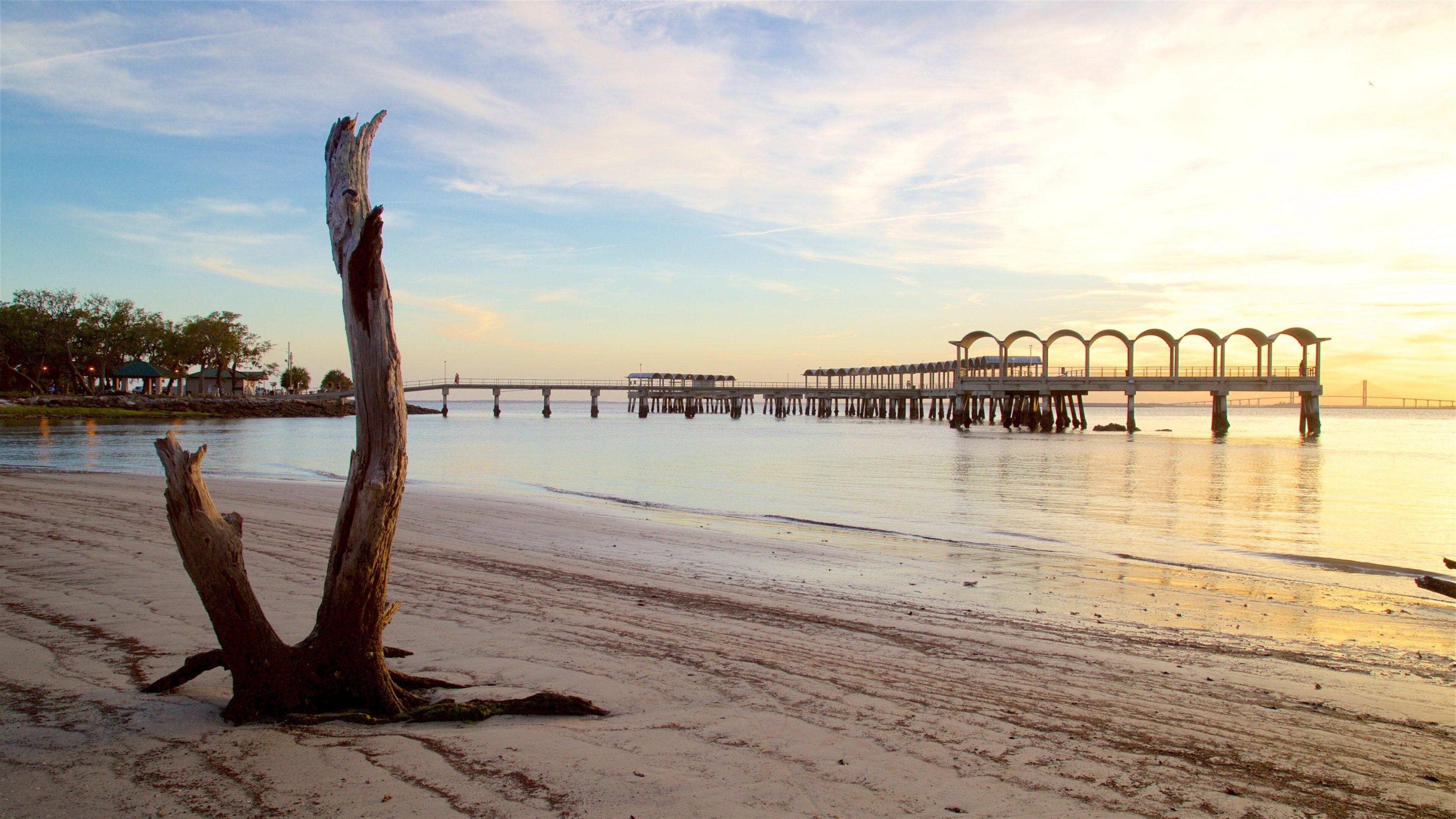 Driftwood Beach que inclui paisagens litorâneas, uma praia e um pôr do sol